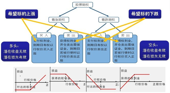 场外个股期权是什么-上海近扬中期赢家